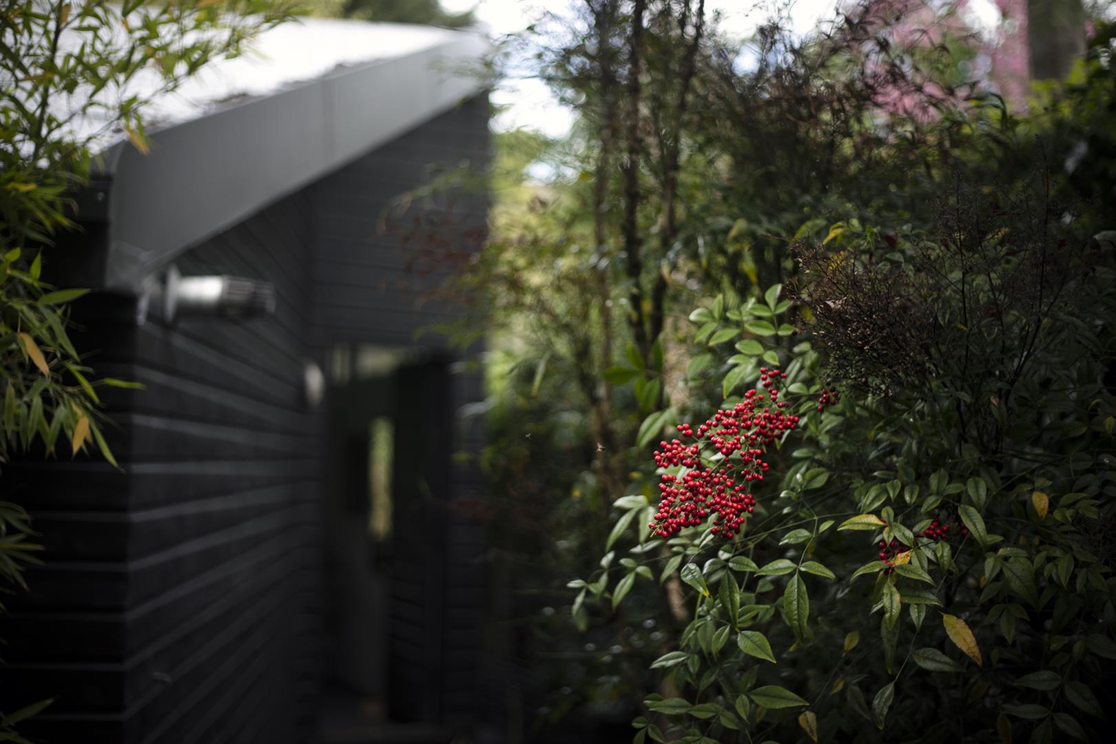 House - Terraced For Sale in Lyndhurst Way, Peckham, SE15 1100 view38