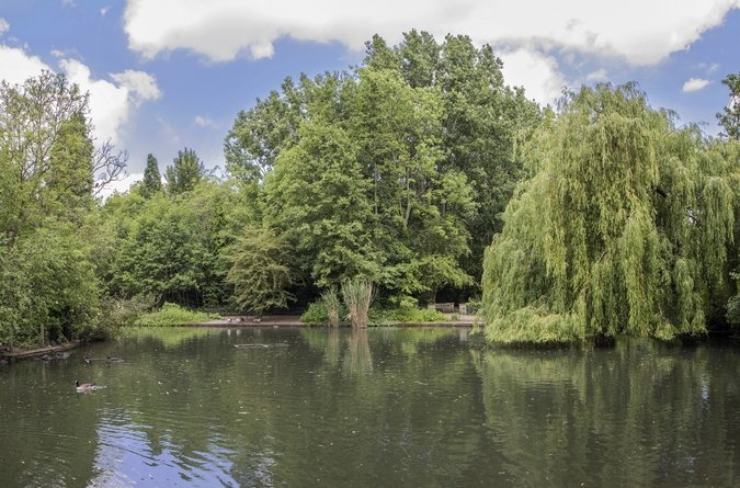 Area Guide Nunhead Parks & Green Spaces Peckham Rye Park