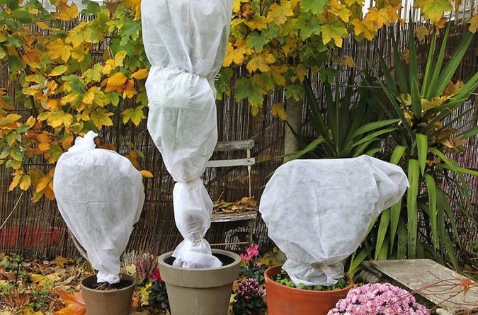 Area Guide How best to prepare your garden for the colder months